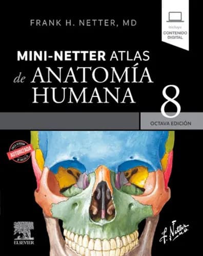 Libro Mini Netter. Atlas De Anatomia Humana 8ed